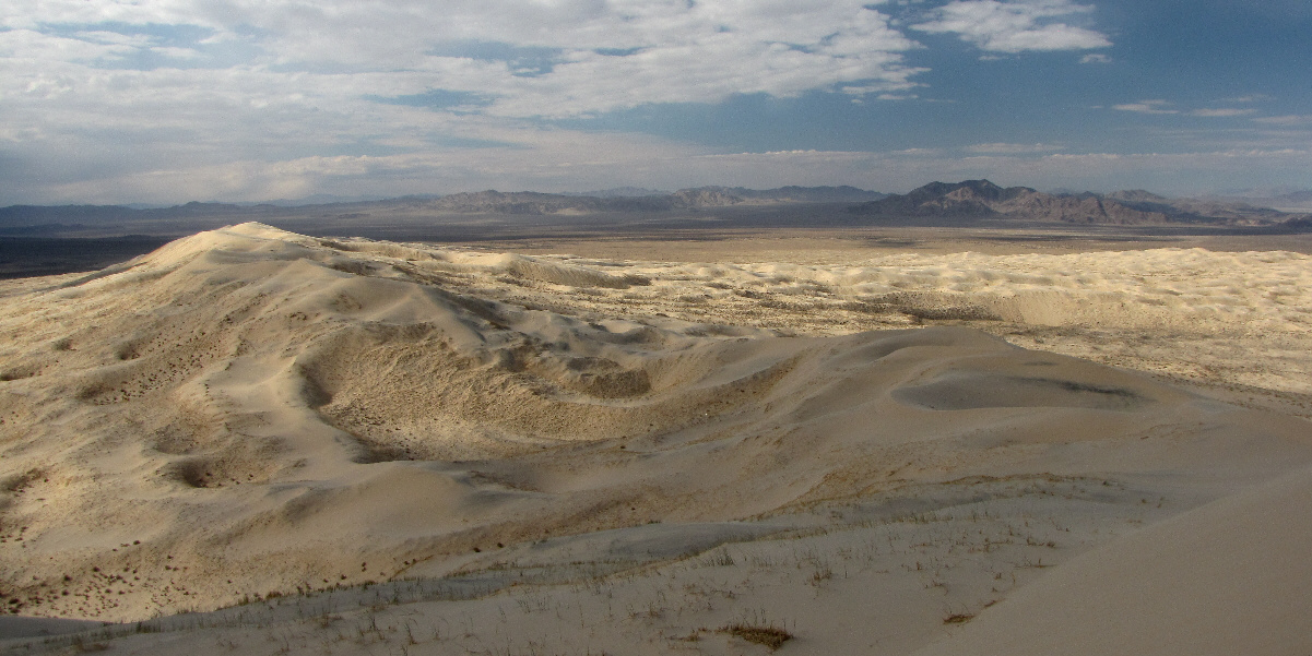 All we need is a dune buggy to go exploring!