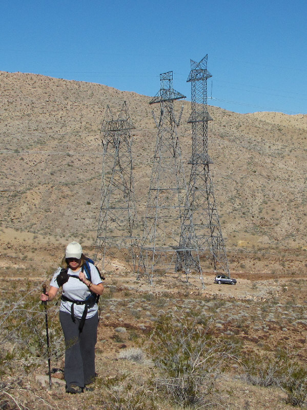 They make a nice humming sound.