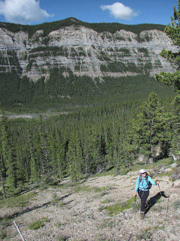 Know why it's called Labyrinth Mountain? 'Cause you'll get lost looking for the summit in those trees up there!