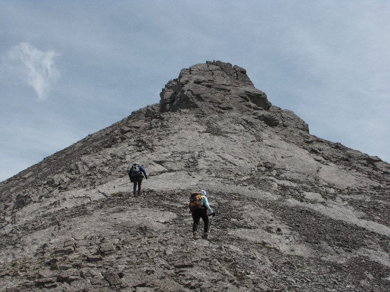 Bob and I tackled it head on. Guess what Dinah did?