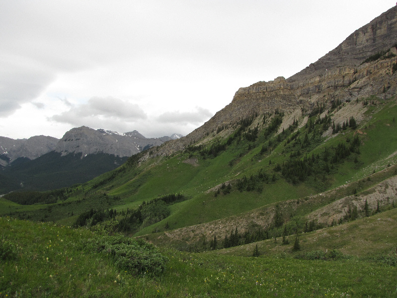 Look at all those ribs we have to climb over though...mmmm...ribs...