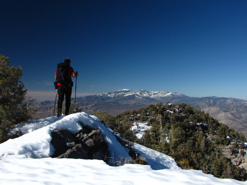 I had only gummies and an orange pop for lunch!