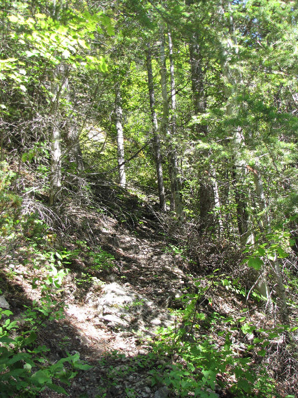 Sadly, the trail is short-lived...