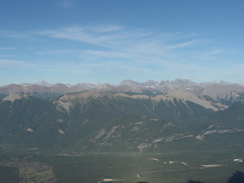 Too bad they're so far away!