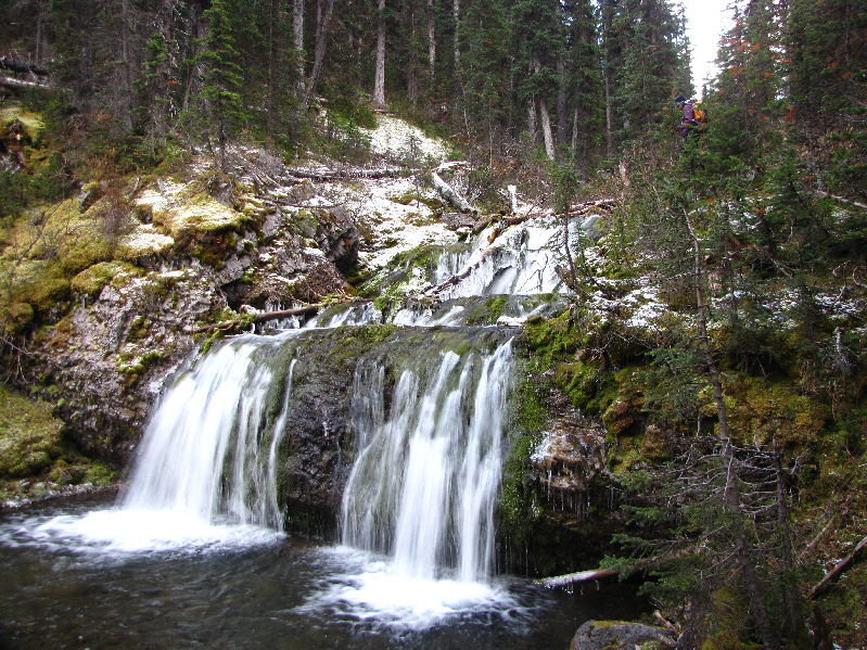 Can you spot the icicles on the logs?