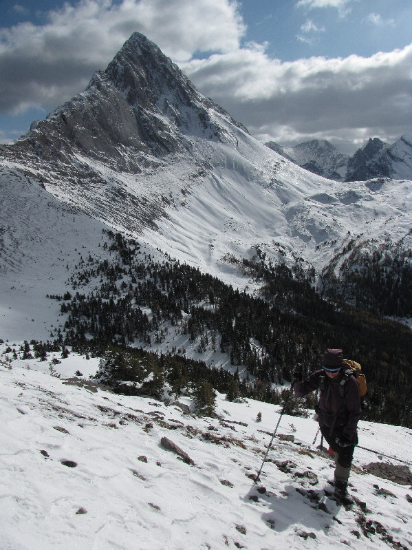 I thought Dinah would've turned around by now!! ;-)