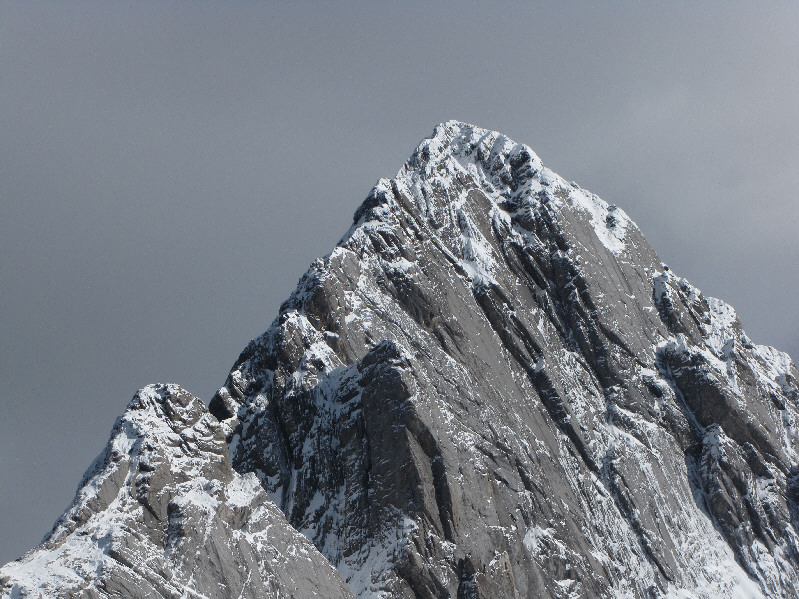 Last pic of Birdwood--I promise!