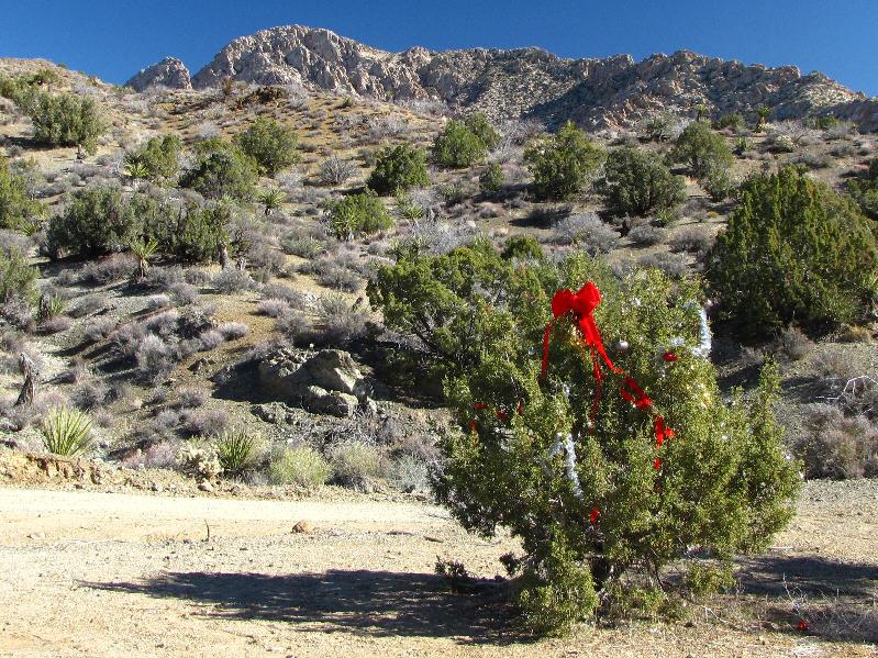 All that is missing are the presents under the tree!