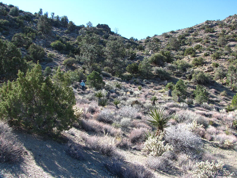 Having to climb back up at the end of the day is gonna suck!