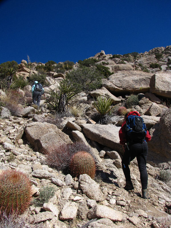 Mind the cacti. And those yucca plants can be nasty too!