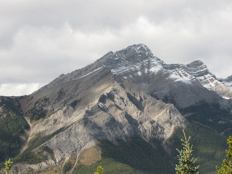 Maybe next summer...