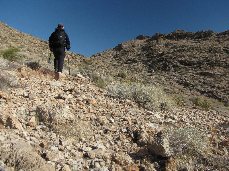 I just wanted to get as quickly away from all the garbage and dead things...