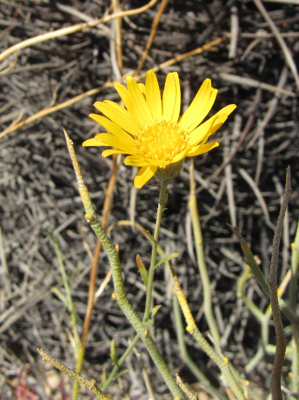 Feels like spring already!