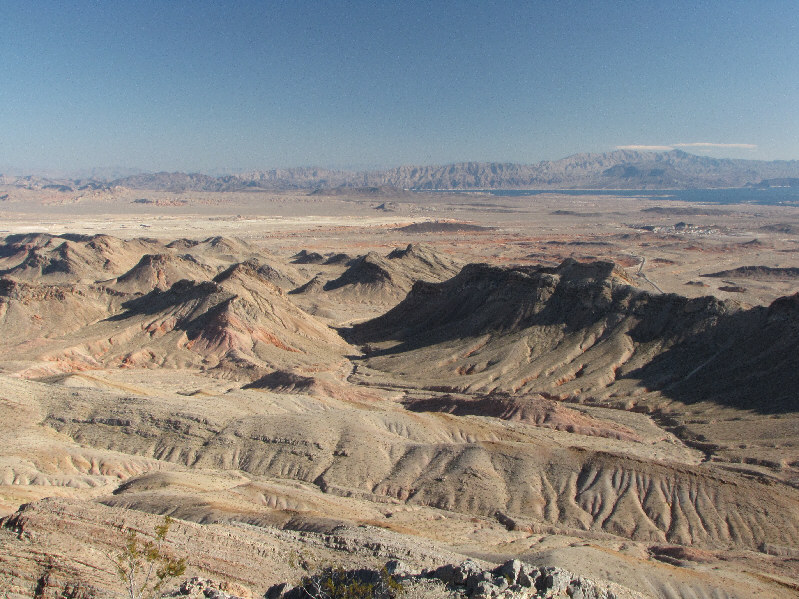 Lotsa little nubs to bag here!