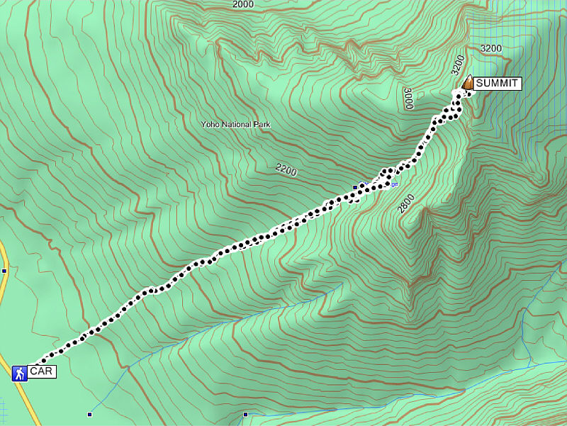 Okay, I'm ready to scramble the Goodsirs! ;-)