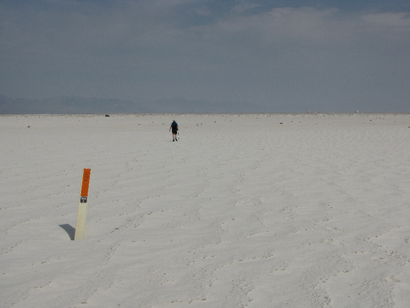 We noticed tire tracks not far from the outermost trail marker...