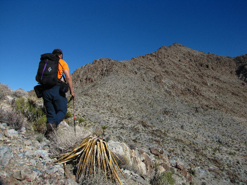 I slipped and bashed my left elbow on a rock during one of these side hill bashes. OWWWW!!!