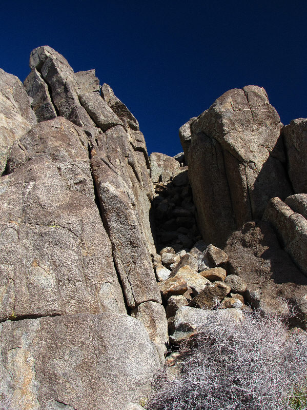 Easy except for that annoying bush at the bottom!