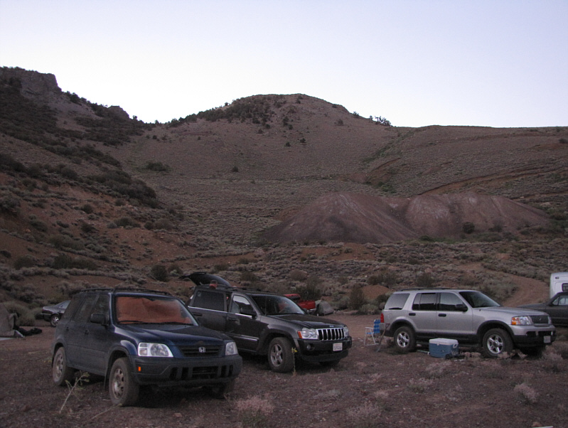 All of them would be gone by the time I returned.