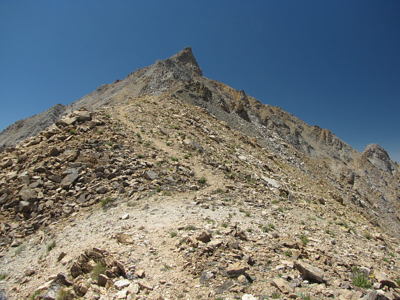 Welcome to California!