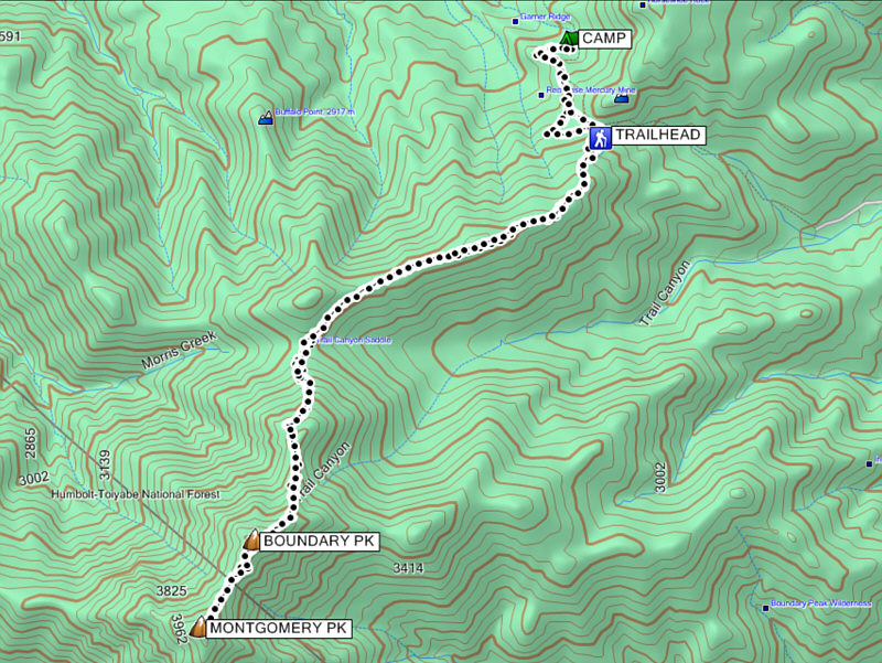 A more painful trip than expected.