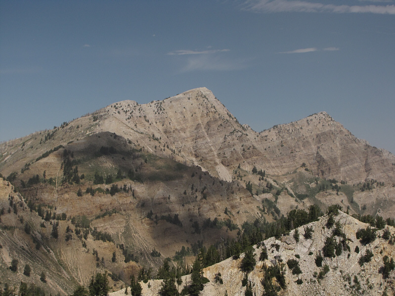 Very striking from this angle.