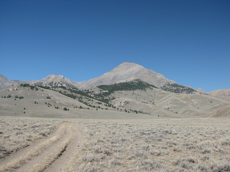 I saw a herd of antelope running across this vast open landscape. Simply amazing.