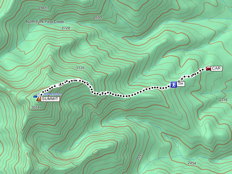 An excellent scramble!