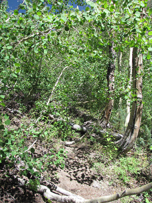 Don't lose hope! It's only like this for a short stretch.