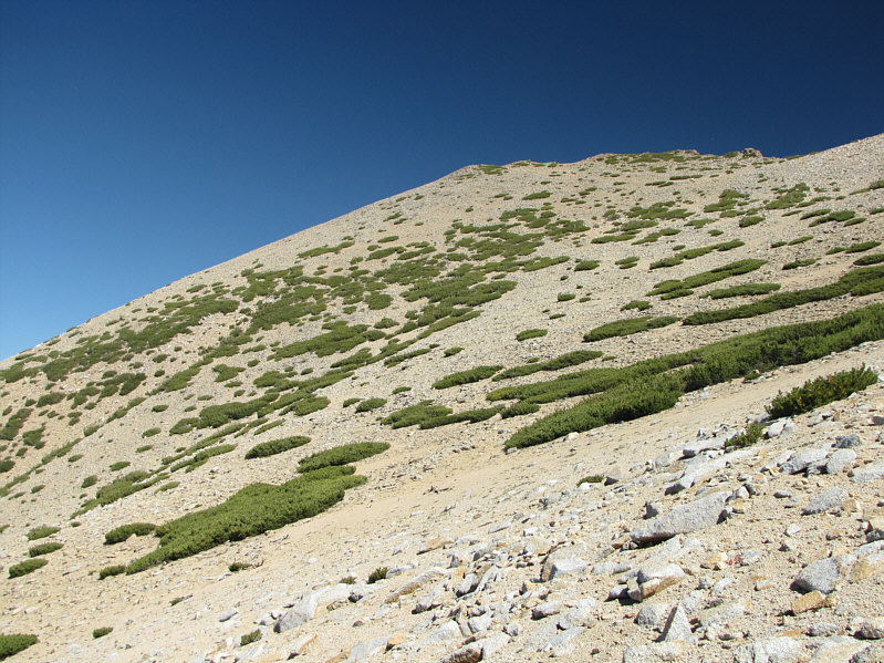 This would be cool to ski in the winter.