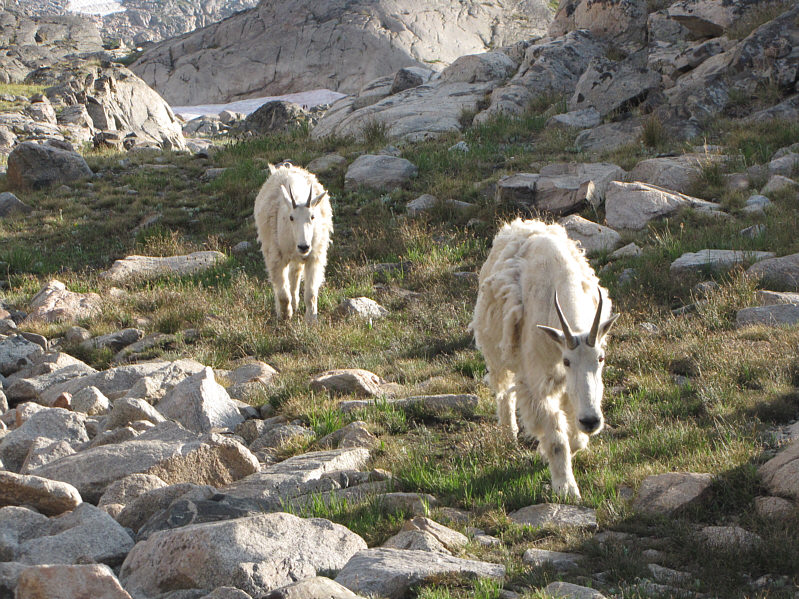 It's like they were escorting me off their property!