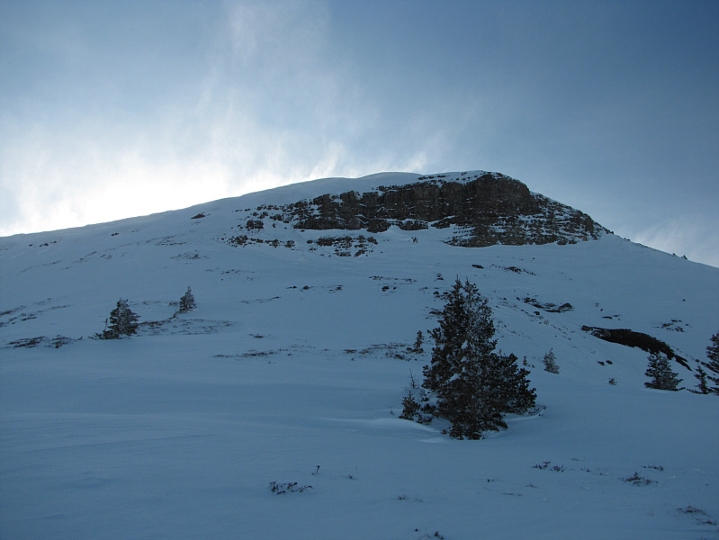 The slope doesn't look quite so daunting here, but it's still pretty steep!