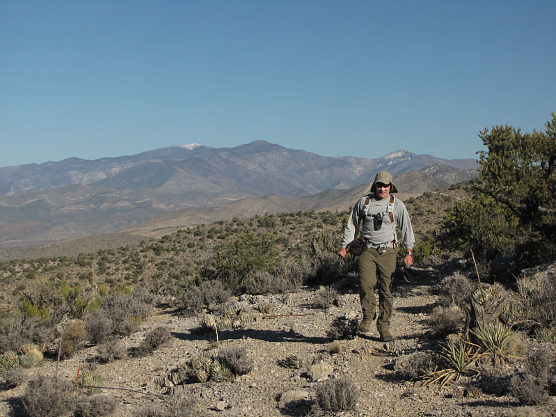 Hard to believe we're still in the same mountain range as Charleston Peak.