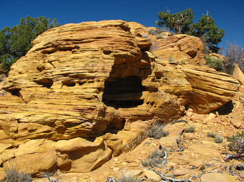 This is a pretty cool hunk of rock!