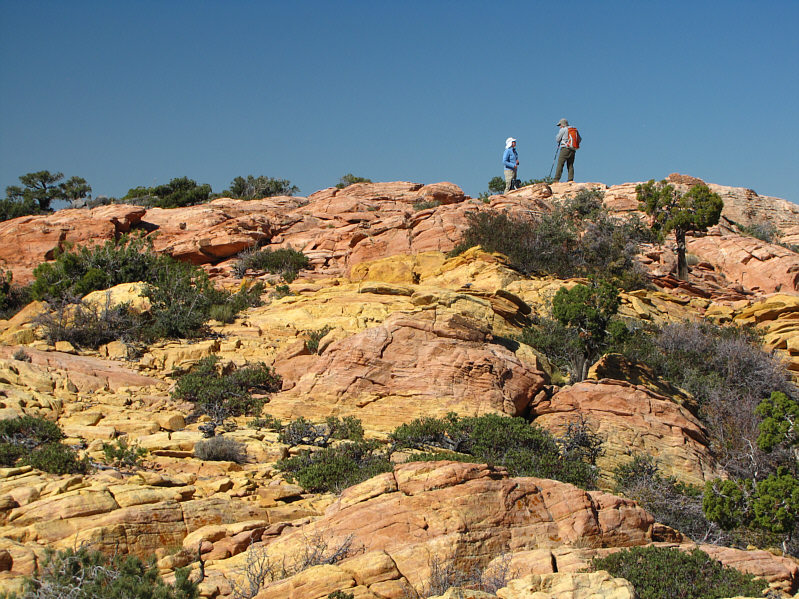 Dinah and Bob keep waiting for me while I keep stopping to snap photos.