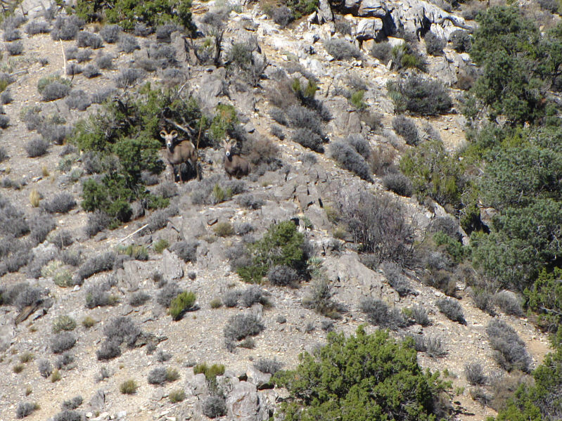 We support Obaaaaama!