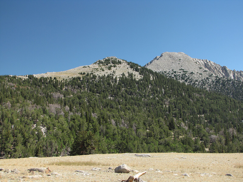It's best to head directly through the trees to the east side of the minor bump at centre.