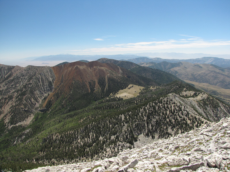 Striking contrast in colours!