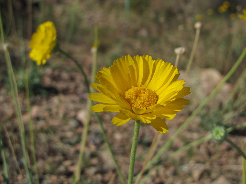 The end of a most enjoyable week in Las Vegas!