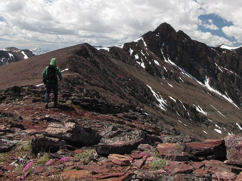 Mount Henry was my favourite ascent of the day.