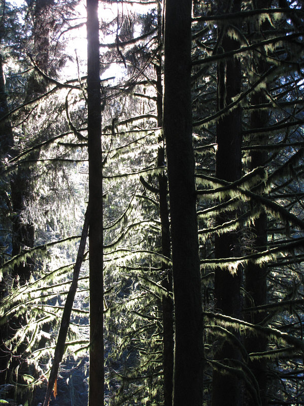 There's not much else to see for the first couple of hours.