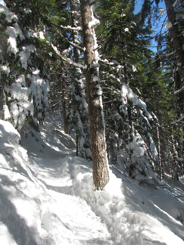 Post-holing up half the trail would have really sucked!