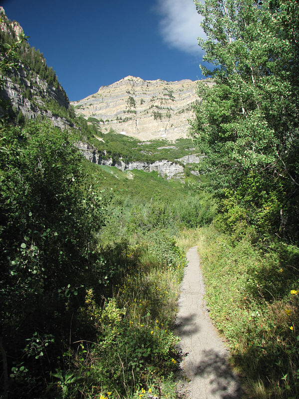 I startled a moose near here, but it disappeared before I could take a photo.