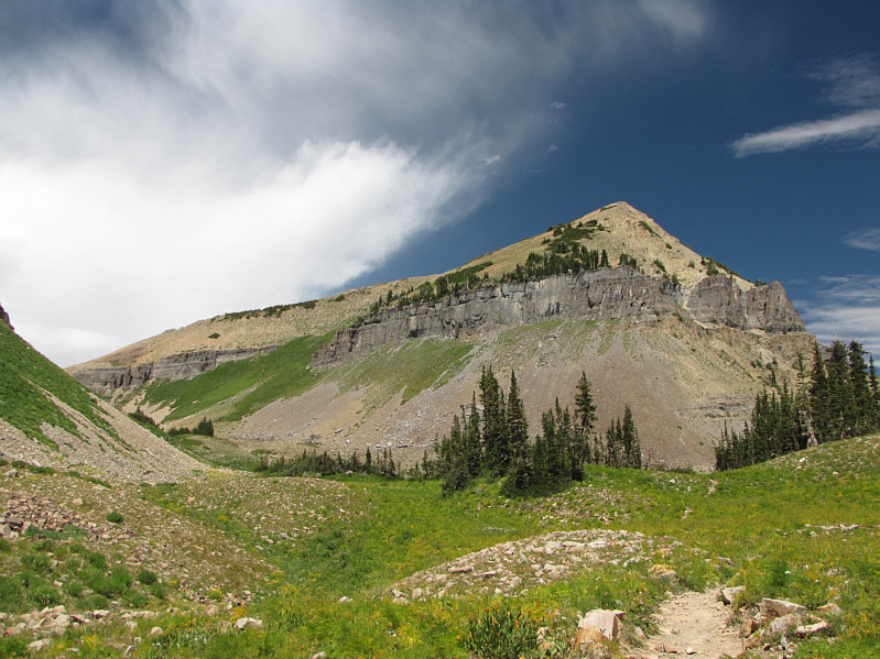 Looks easy enough to bag...if you have the extra energy!