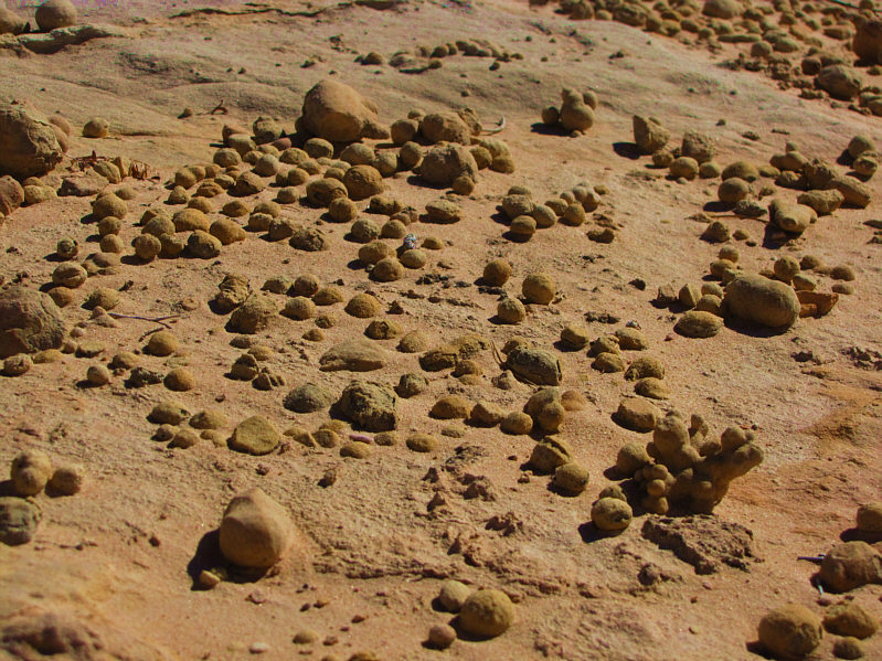 Maybe fossilized pellets??