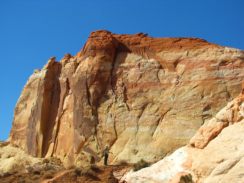 Dinah is still expressing herself...