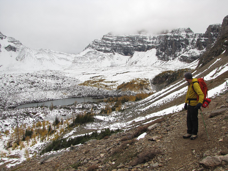 The Crazy Pole wields a crazy pole!