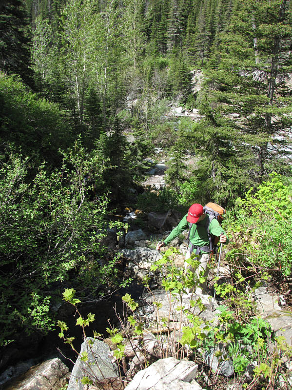 Still not sure what I was thinking in picking an objective that entails bushwhacking...