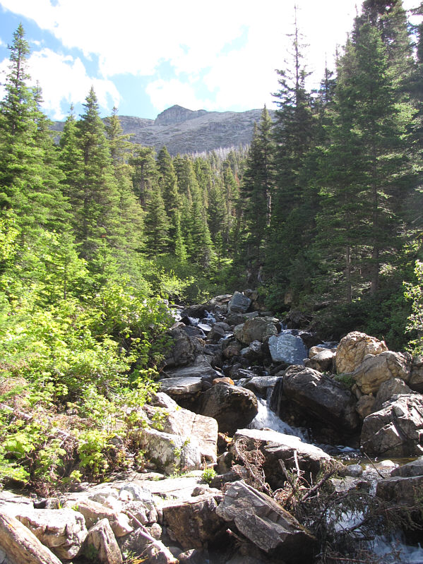 Sure would have been nice if there was no water flowing down this tributary.