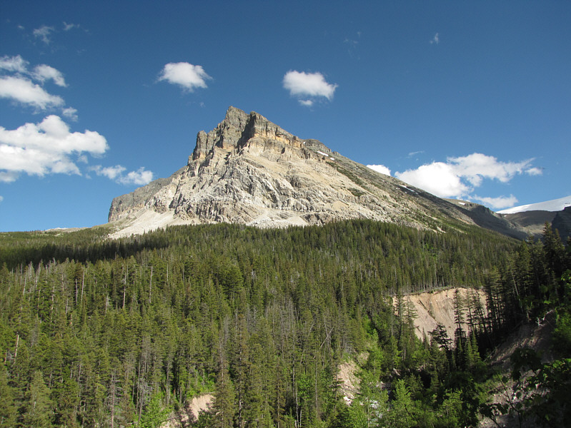 We've got a Wynn-er!